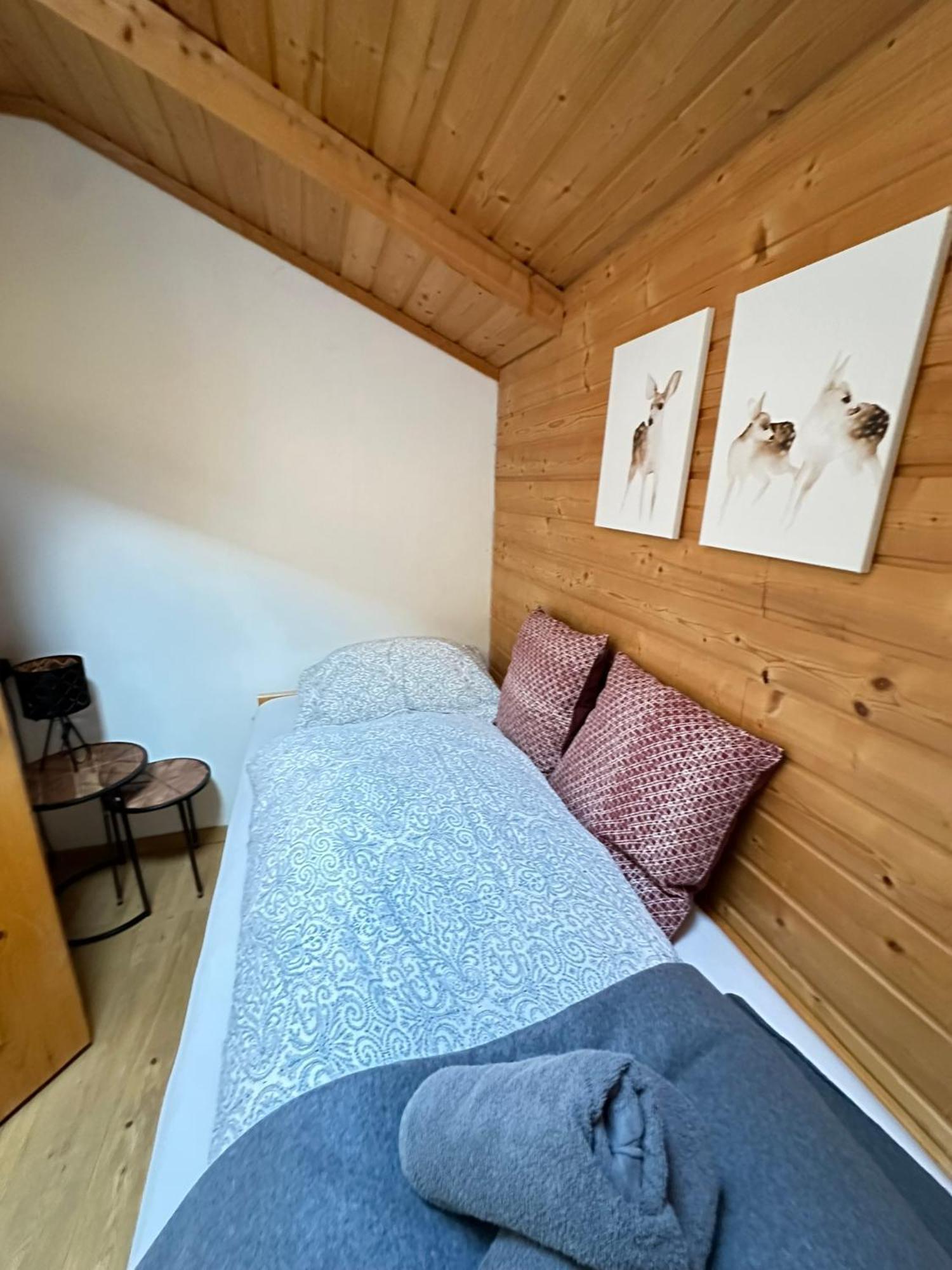 Lilly Chalet- Apartments With Private Sauna, Close To Ski Lifts Bad Kleinkirchheim Exterior foto